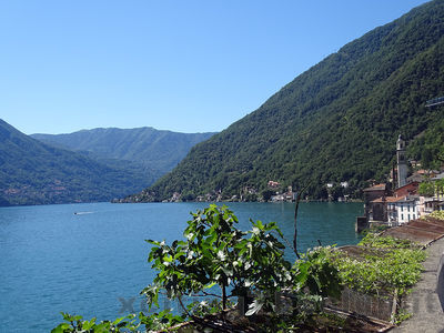 Clicca per vedere l'immagine alla massima grandezza