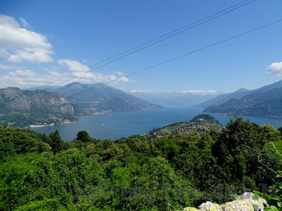 Clicca per vedere l'immagine alla massima grandezza