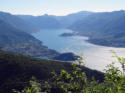 Clicca per vedere l'immagine alla massima grandezza