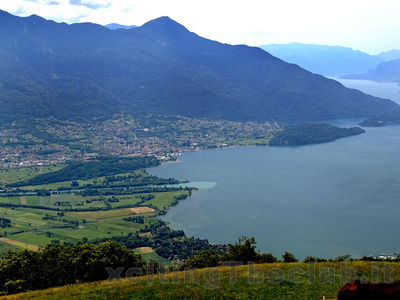 Clicca per vedere l'immagine alla massima grandezza