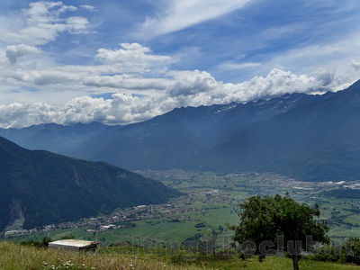 Clicca per vedere l'immagine alla massima grandezza