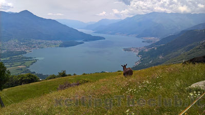 Clicca per vedere l'immagine alla massima grandezza