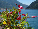 Nome del file=1~12.jpg
Dimensione del file=251KiB
Dimensioni=1200x900
Aggiunta il=26 Giu 2019 1~12.jpg