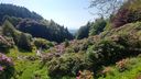 Nome del file=20190602-104230-HDR.jpg
Dimensione del file=319KiB
Dimensioni=1280x720
Aggiunta il=05 Giu 2019 20190602-104230-HDR.jpg