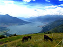 Nome del file=DSC00064.jpg
Dimensione del file=419KiB
Dimensioni=1563x1173
Aggiunta il=29 Giu 2018 DSC00064.jpg